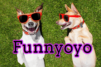 funnyoyo.com