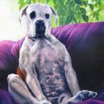 dog-on-couch,-cartoon